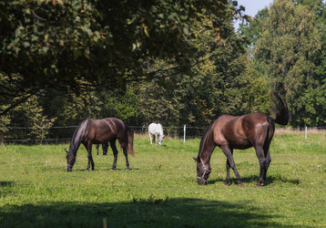 Similar image 21270504