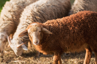 Similar image 21272049