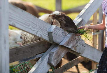 Similar image 21272050