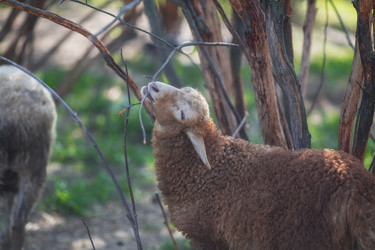 Similar image 21272051