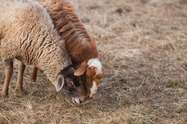 Similar image 21272052