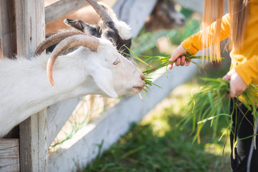 Similar image 21272053