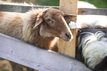 Similar image 21272057