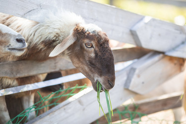 Similar image 21272059