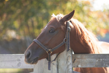 Similar image 21272061