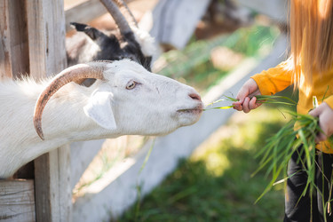 Similar image 21272063