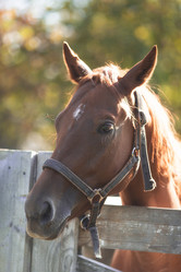 Similar image 21272065