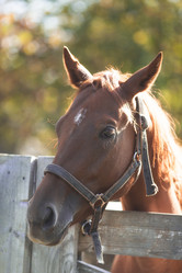 Similar image 21272067