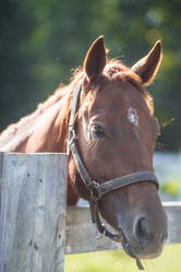 Similar image 21272069