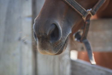 Similar image 21272070