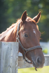 Similar image 21282594