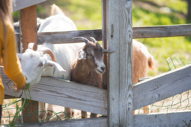 Similar image 21272072