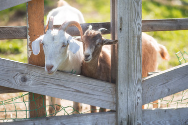 Similar image 21282597