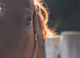 Similar image 21282637