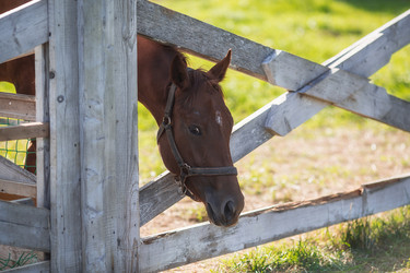 Similar image 21282638