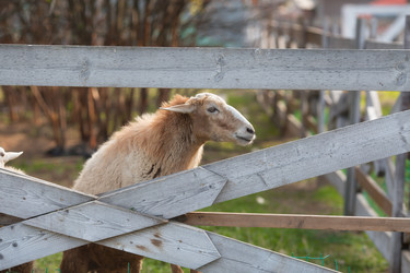 Similar image 21272269