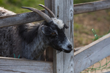 Similar image 21272270