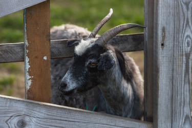 Similar image 21272273