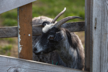 Similar image 21272275