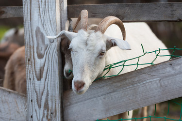 Similar image 21272280