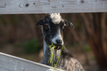 Similar image 21272284