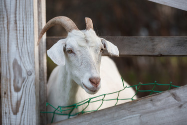 Similar image 21272285