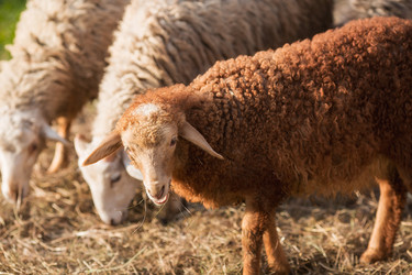 Similar image 21272286