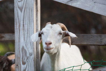 Similar image 21272287