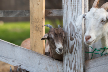 Similar image 21272291