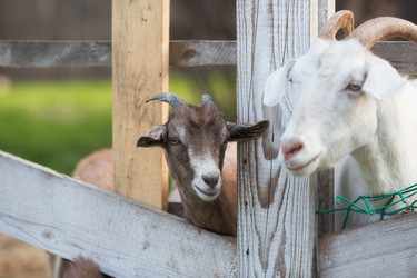 Similar image 21272455