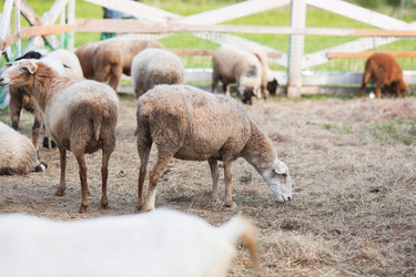 Similar image 21272457