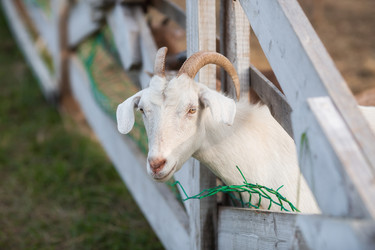 Similar image 21272459