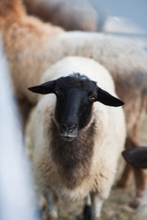 Similar image 21272463