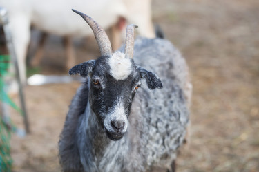 Similar image 21272465