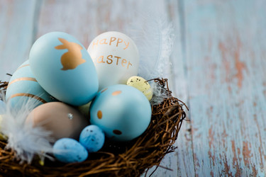 Similar image 21282276