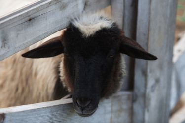 Similar image 21270505