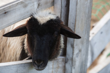 Similar image 21270507