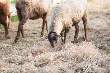 Similar image 21270508