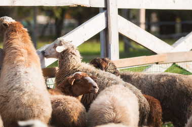 Similar image 21270510