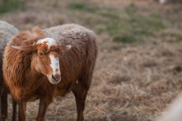 Similar image 21270515