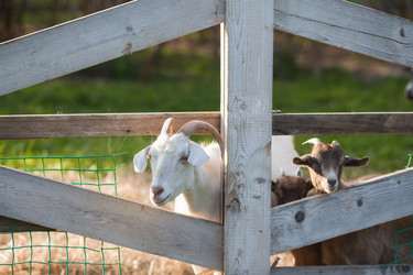 Similar image 21270518