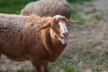 Similar image 21270523