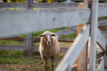 Similar image 21270525