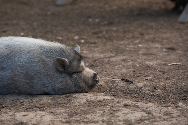 Similar image 21282402