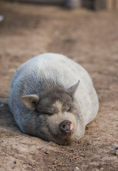 Similar image 21282403