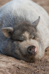 Similar image 21282404