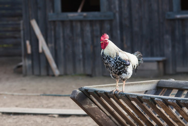 Similar image 21272075