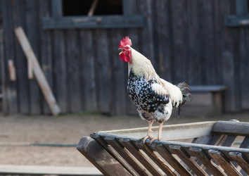 Similar image 21272076