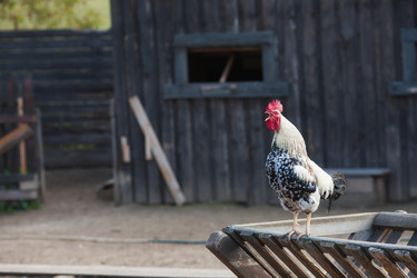 Similar image 21272077