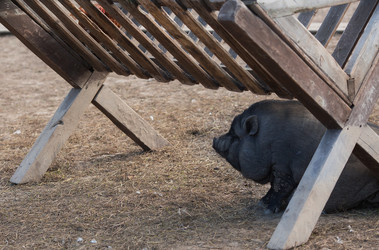 Similar image 21282598